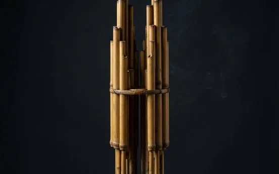 A sheng mouth organ with vertical pipes rising from a wind chamber